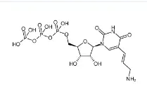 CAS號：112131-73-4，Aminoallyl-UTP，氨基烯丙基尿苷三磷酸