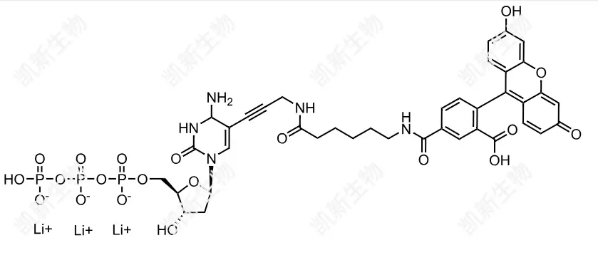 FAM-11-dCTP，熒光素標(biāo)記脫氧胞苷三磷酸：高效熒光標(biāo)記的脫氧胞苷三磷酸衍生物及其分子生物學(xué)應(yīng)用