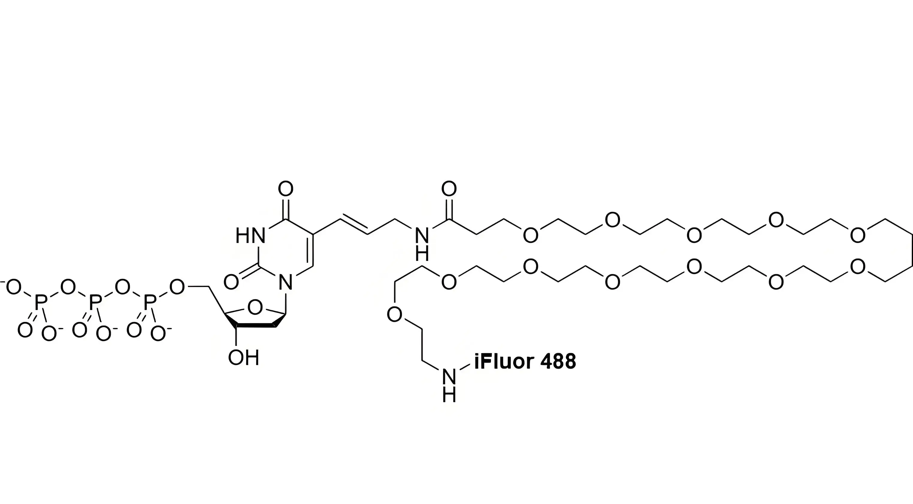 iFluor488-PEG12-dUTP，iFluor488-十二聚乙二醇-脫氧尿苷三磷酸在反應(yīng)體系中的溶解穩(wěn)定性解析