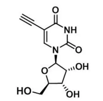 5-Ethynyluridine，5-EU，69075-42-9，核心結(jié)構(gòu)特點(diǎn)是在尿苷的5位碳上引入了一個(gè)乙炔基