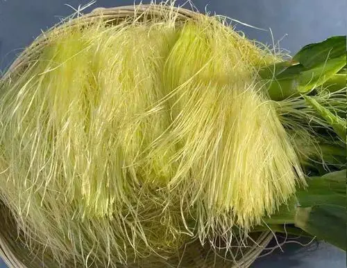 痛風(fēng)食療指南！8種低嘌呤食物建議常吃，溫和緩解不適少復(fù)發(fā)